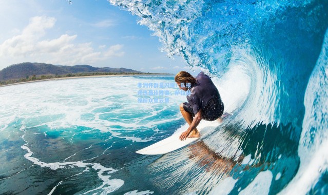 非洲杯群星闪耀！队报评选最佳阵容，萨拉赫领衔众星云集