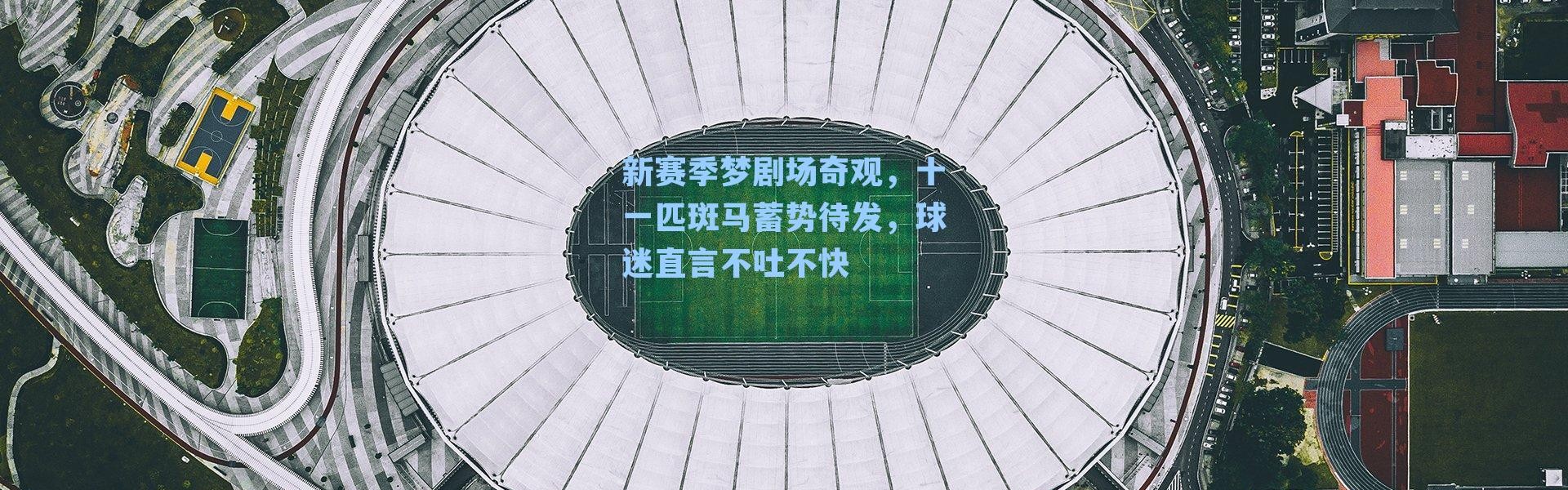 新赛季梦剧场奇观,十一匹斑马蓄势待发,球迷直言不吐不快