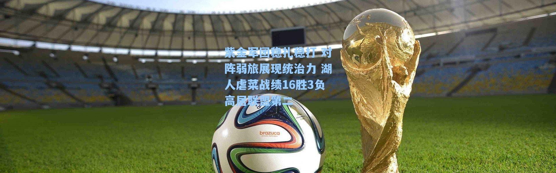 紫金军团稳扎稳打 对阵弱旅展现统治力 湖人虐菜战绩16胜3负高居联盟第二