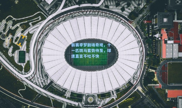 新赛季梦剧场奇观,十一匹斑马蓄势待发,球迷直言不吐不快