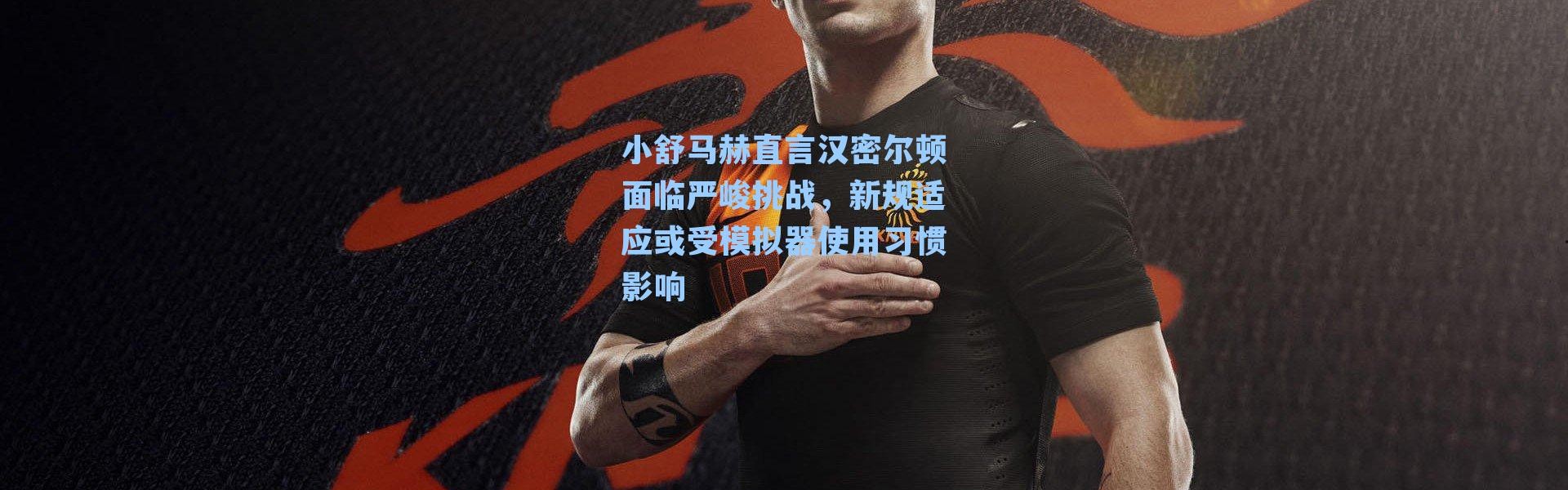 小舒马赫直言汉密尔顿面临严峻挑战，新规适应或受模拟器使用习惯影响