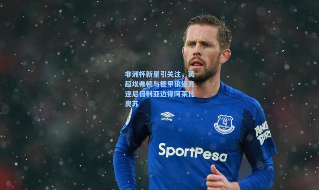 非洲杯新星引关注，英超埃弗顿与德甲狼堡竞逐尼日利亚边锋阿莱比奥苏
