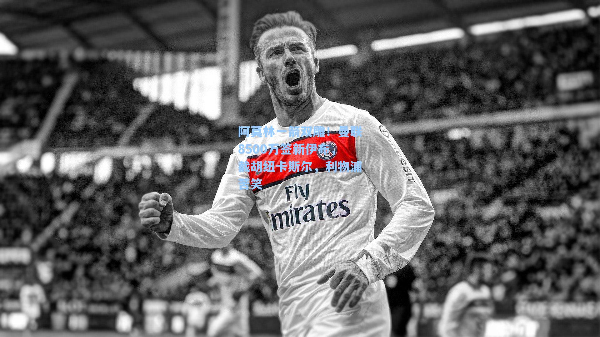 阿莫林一箭双雕!曼联8500万签新伊布,截胡纽卡斯尔,利物浦苦笑