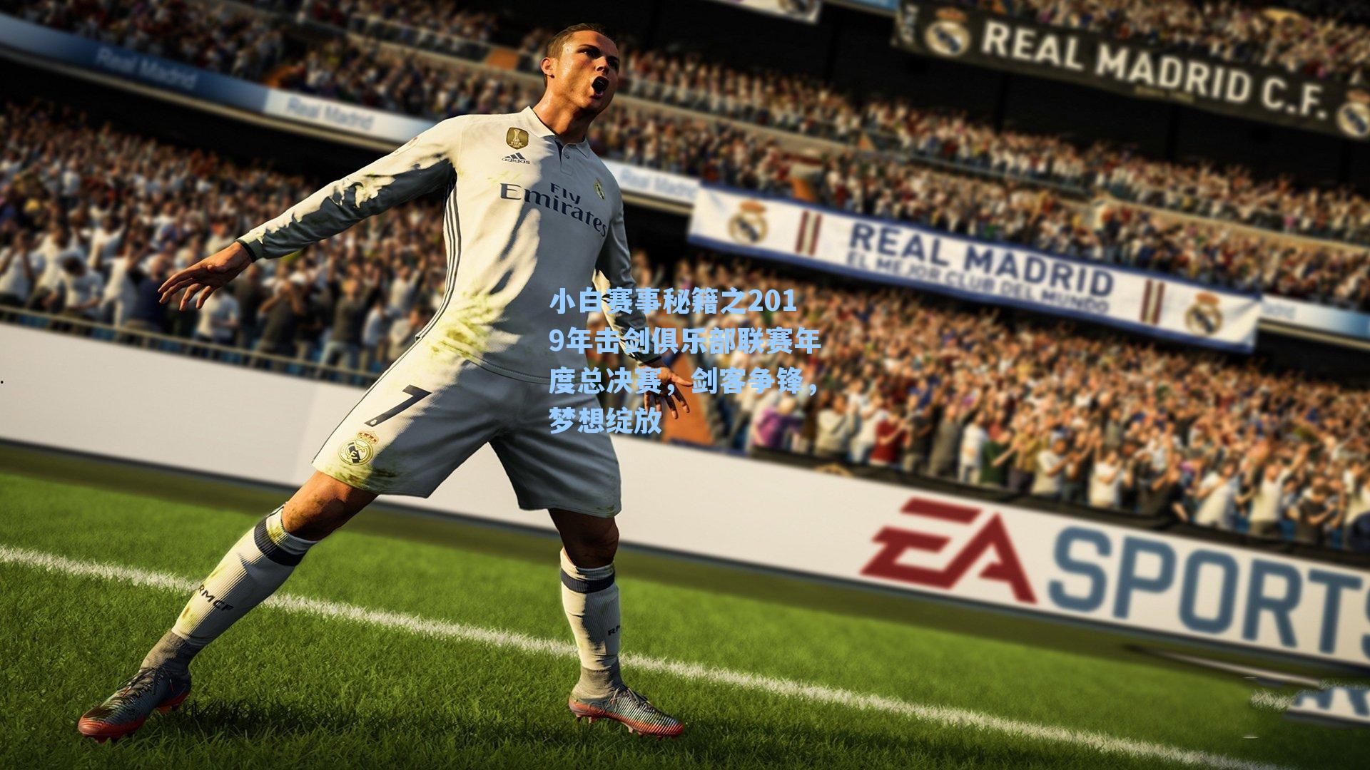 小白赛事秘籍之2019年击剑俱乐部联赛年度总决赛,剑客争锋,梦想绽放